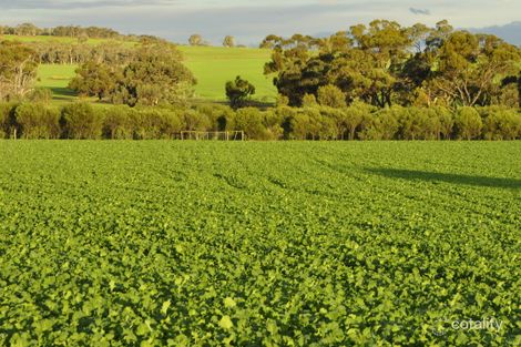 5157 York-Williams Rd, West Pingelly, WA 6308