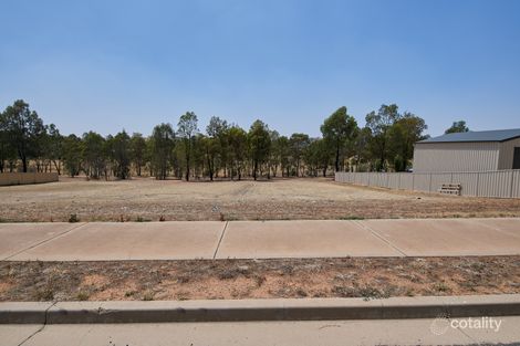 29 John Potts Dr, Junee, NSW 2663