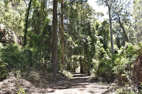 1139 Watagan Creek Rd, Watagan, NSW 2325