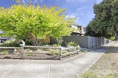 Property photo of 14 Weeroona Avenue Hamlyn Heights VIC 3215