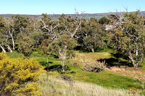 Property photo of 3127 Flinders Ranges Way Quorn SA 5433