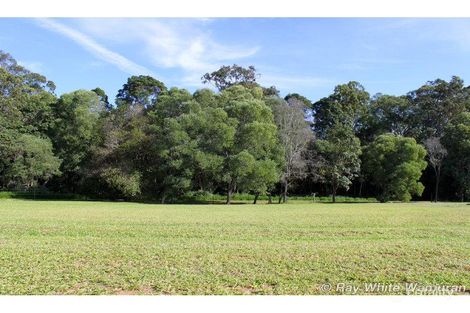 Property photo of 17 Murphy Court Wamuran QLD 4512