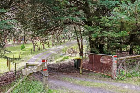 50 Blackwood Rise, Moe South, VIC 3825