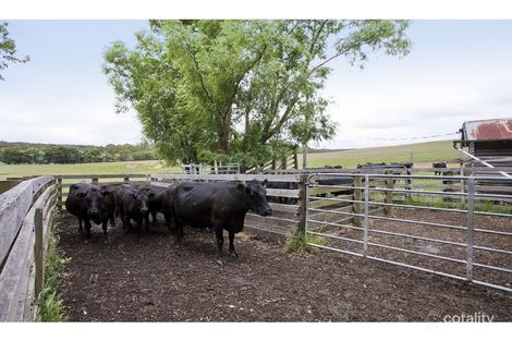 Property photo of 415 Pennyroyal Valley Road Pennyroyal VIC 3235