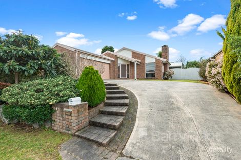 Property photo of 18 Sundew Court Knoxfield VIC 3180