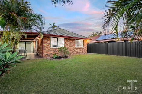 Property photo of 42 Dialba Crescent Tingalpa QLD 4173