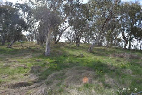 16 Windradeen Rd, Adaminaby, NSW 2629