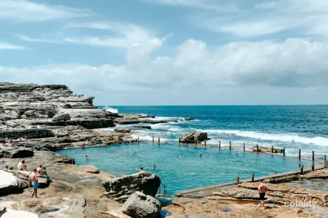 Property photo of 21/77 Broome Street Maroubra NSW 2035