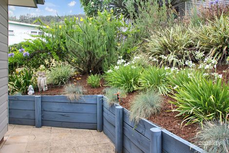 Property photo of 35 Colin Street Kyogle NSW 2474