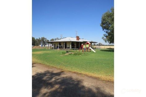 Property photo of 1189 Piney Road Finley NSW 2713