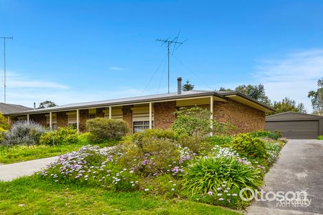 Property photo of 11 McLay Court Naracoorte SA 5271