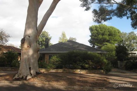 31 Edgcumbe Tce, Rosslyn Park, SA 5072