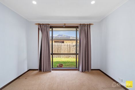 Property photo of 301 Bloomfield Street Cleveland QLD 4163