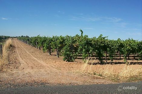 6 Lennard St, Herne Hill, WA 6056