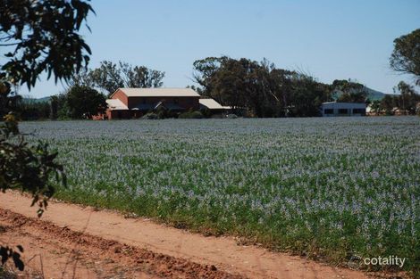 719 Edward Rd, Narngulu, WA 6532