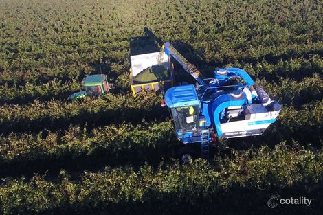 1 Bringan St, Whitton, NSW 2705