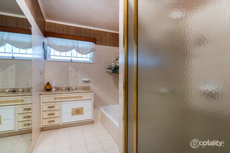 Property photo of 12 Dahlia Street Cannon Hill QLD 4170