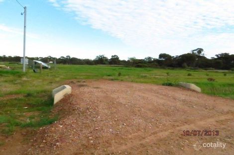 67 Boltes Rd, West Wyalong, NSW 2671
