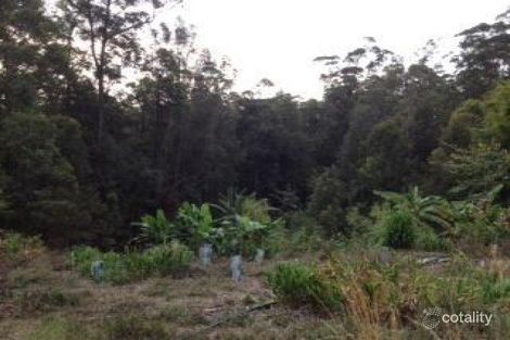 1336 Byrrill Creek Rd, Brays Creek, NSW 2484