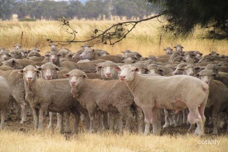 7-19 Bedgerabong Rd, Forbes, NSW 2871