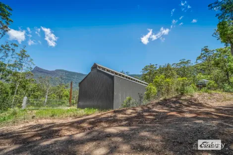 Property photo of 243 Everinghams Road Pumpenbil NSW 2484