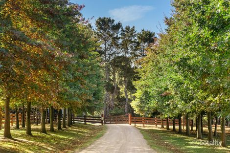 Property photo of 111 Bittern-Dromana Road Merricks North VIC 3926