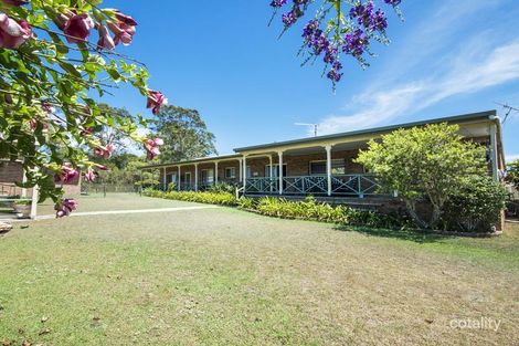 21 Zietsch Cl, Warragai Creek, NSW 2460