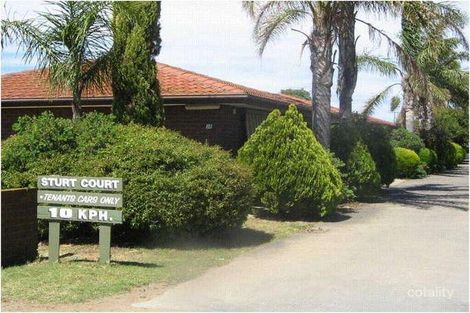 3/38 Trevor St, Murray Bridge, SA 5253