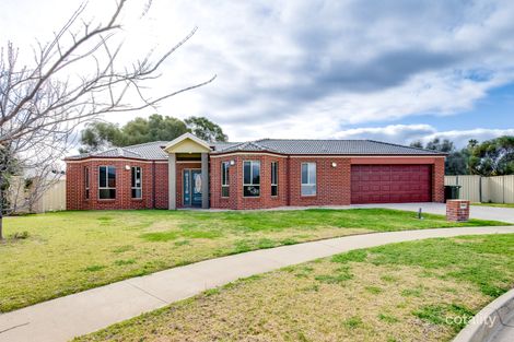 Property photo of 4 Cabernet Court Mildura VIC 3500