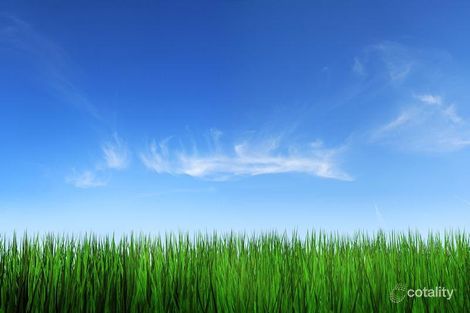 55 Nankeen Cir, Tapping, WA 6065