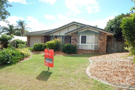 Property photo of 58 Rumsey Drive Raceview QLD 4305