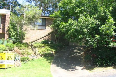31 Elissa Cres, Wyoming, NSW 2250