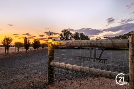 Property photo of 117 Tandarra Road Moama NSW 2731