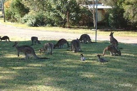 Property photo of 52 Village Road South Durras NSW 2536