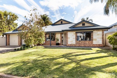 Property photo of 18 Wilkins Street Glengowrie SA 5044