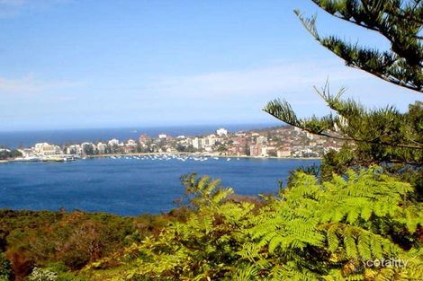Property photo of 1 Jellicoe Street Balgowlah Heights NSW 2093
