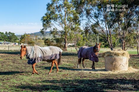 Property photo of 11 Greens Road Orielton TAS 7172