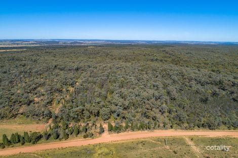 Property photo of 589 Patrick Road Dunedoo NSW 2844