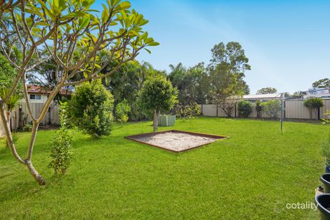 Property photo of 38 Amaryllis Street Alexandra Hills QLD 4161