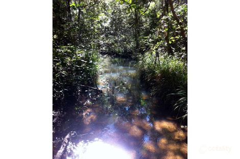 Property photo of 114 Webster Road Wondecla QLD 4887