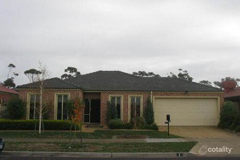 8 Tussock Gr, Cairnlea, VIC 3023