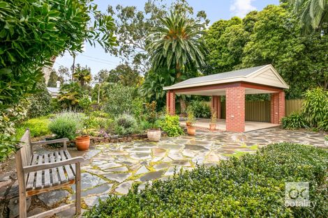 Property photo of 37 Grove Street Unley Park SA 5061