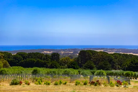 Property photo of 515 Grasslands Road Boneo VIC 3939