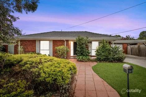36 Hereford Dr, Belmont, VIC 3216