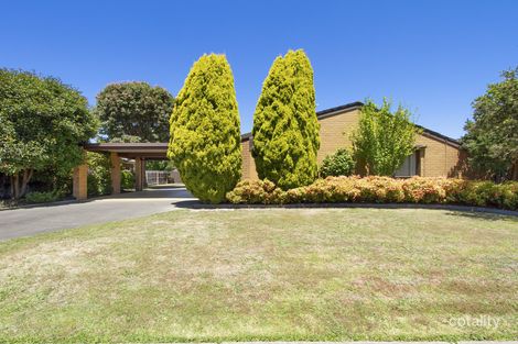Property photo of 17 Phillip Street Traralgon VIC 3844