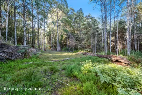 Property photo of 15 Deering Street Franklin TAS 7113