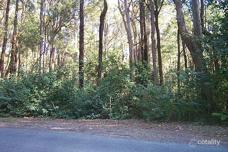 2016 Springbrook Rd, Springbrook, QLD 4213