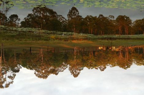 Property photo of 1010 Round Hill Road Captain Creek QLD 4677