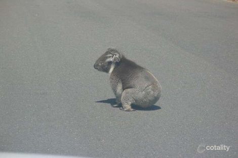 Property photo of 6 Allinga Road Morphett Vale SA 5162