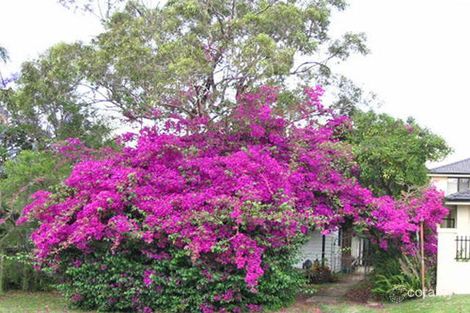 118 Caravan Head Rd, Oyster Bay, NSW 2225